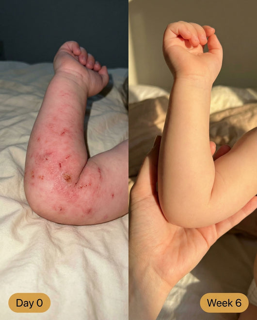 Grass Fed Beef Tallow